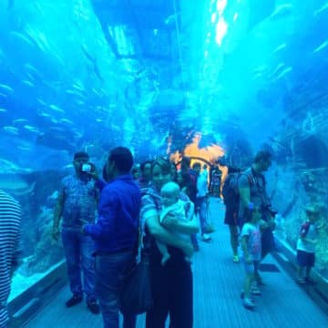 Dubai-aquarium-with-baby