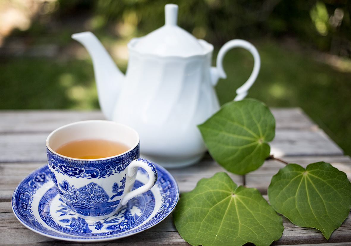 kawakawa tea in blue and white cup on table with white teapot behind and kawakawa leaves.