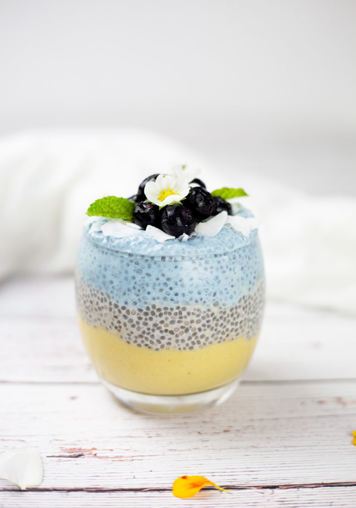 This mango chia pudding with coconut and blueberries is fresh, creamy, fruity and fun to make and eat! This makes a fresh and tasty paleo breakfast treat or a healthy paleo dessert. Dairy free & sugar free. #paleo #chiaseeds #chiapudding #vegan #glutenfreebreakfast #dairyfree #glutenfree #veganbreakfast #dairyfreebreakfast #mango #blueberries #smoothie #paleobreakfast #lowcarb #lowcarbrecipes #paleorecipes