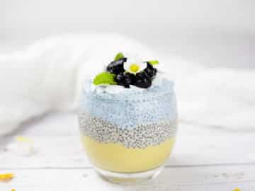 This mango chia pudding with coconut and blueberries is fresh, creamy, fruity and fun to make and eat! This makes a fresh and tasty paleo breakfast treat or a healthy paleo dessert. Dairy free & sugar free. #paleo #chiaseeds #chiapudding #vegan #glutenfreebreakfast #dairyfree #glutenfree #veganbreakfast #dairyfreebreakfast #mango #blueberries #smoothie #paleobreakfast #lowcarb #lowcarbrecipes #paleorecipes