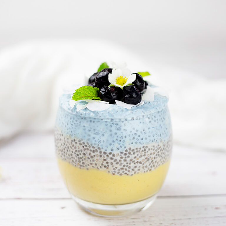Mango Coconut Chia Pudding with Blueberries