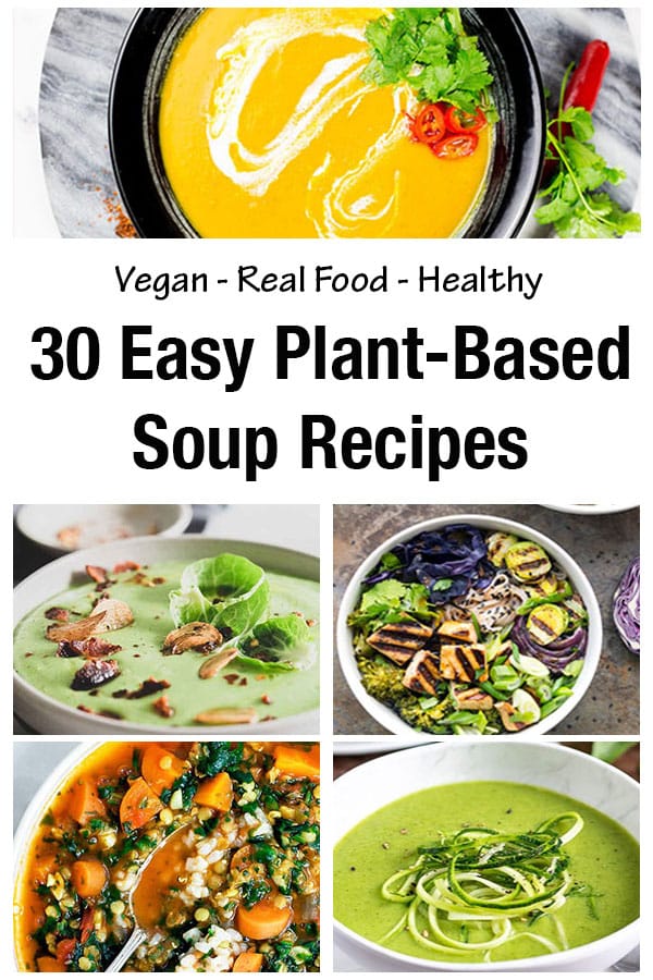 plant based delicious recipes