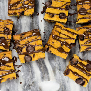 Close up of ppumpkin chocolate chip bars for gluten-free catgeory.