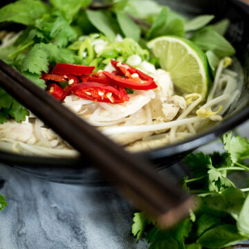 Close up of chicken pho for soy free category.